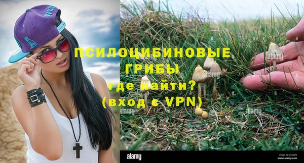 ешки Абаза